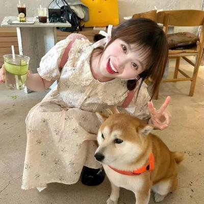 射月 海报